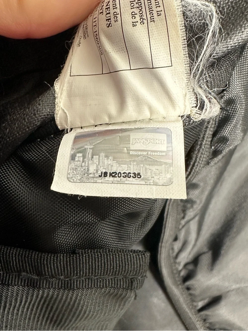 JANSPORT Agave 32L backpack